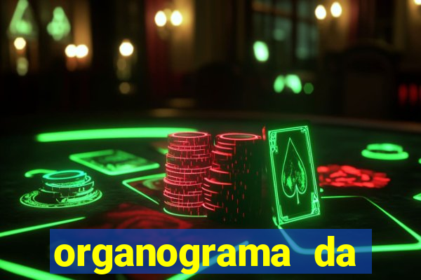 organograma da cacau show