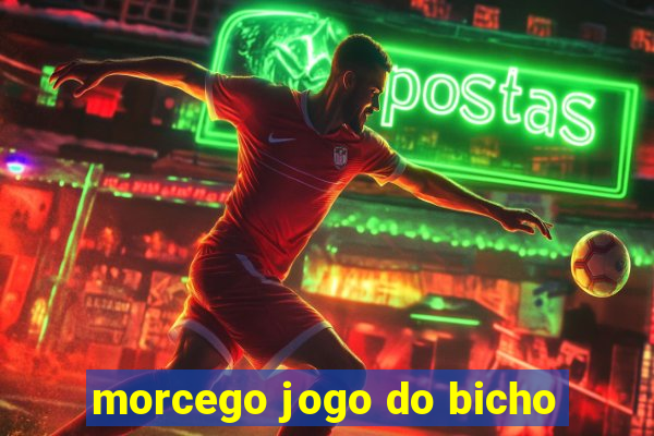 morcego jogo do bicho