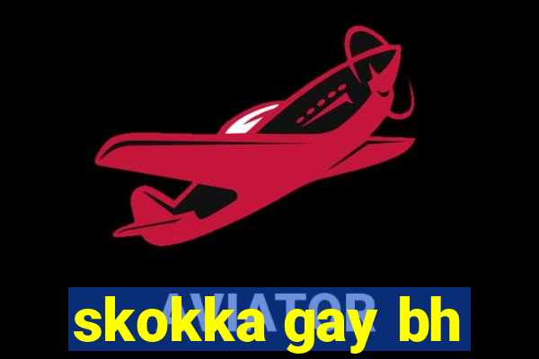 skokka gay bh