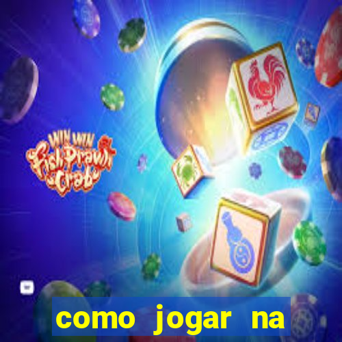 como jogar na lotinha do jogo do bicho