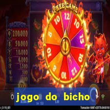 jogo do bicho natal rn