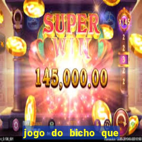 jogo do bicho que paga no pix