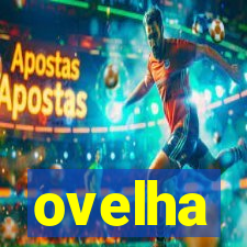 ovelha