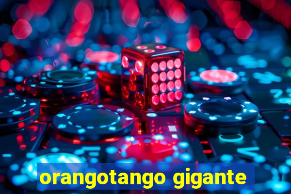 orangotango gigante