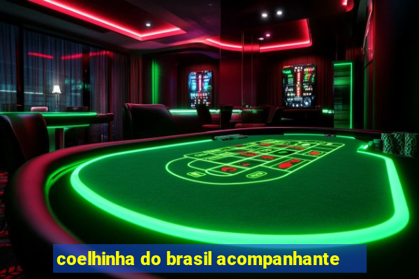 coelhinha do brasil acompanhante