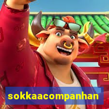 sokkaacompanhantes