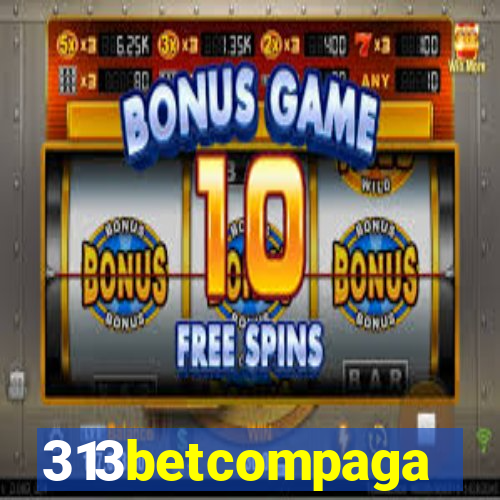 313betcompaga