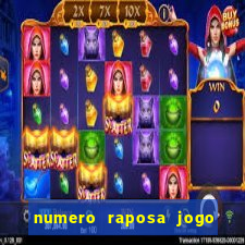 numero raposa jogo do bicho